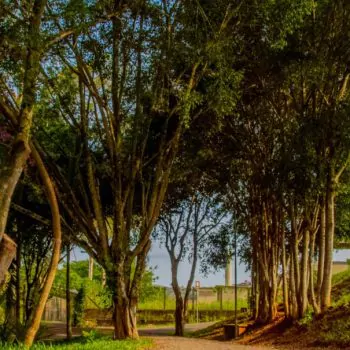 Parque Municipal